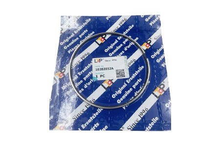 LTP Бренд 10282852 10282852A поршневое кольцо  для Liebherr